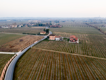 Bring to the table win-win survival