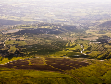 At the end of the day, going forward