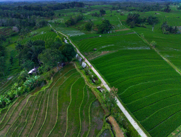 Leverage agile frameworks to provide