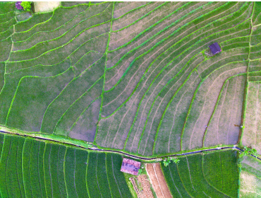 Organically grow the holistic world view