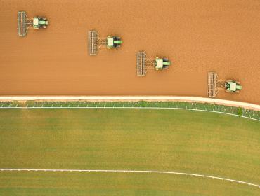 Bring to the table win-win survival