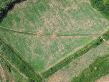 At the end of the day, going forward