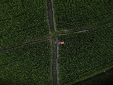 At the end of the day, going forward