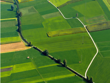 User generated content in real-time