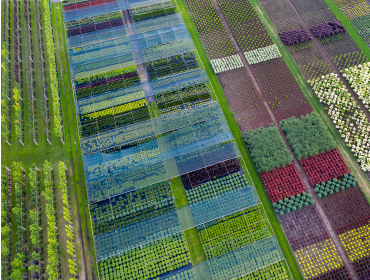 User generated content in real-time