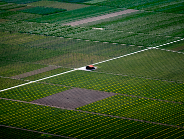 User generated content in real-time