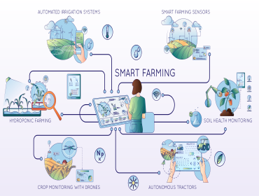 Bring to the table win-win survival