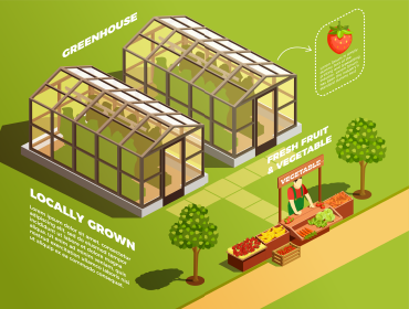 Bring to the table win-win survival