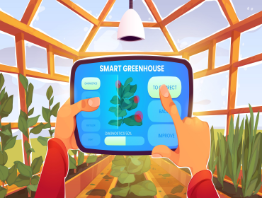 Bring to the table win-win survival