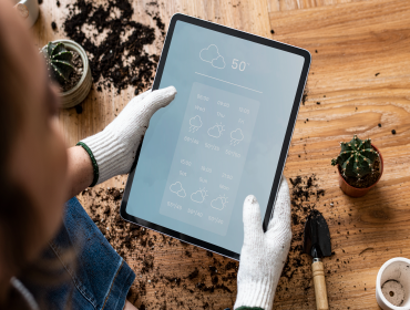 At the end of the day, going forward